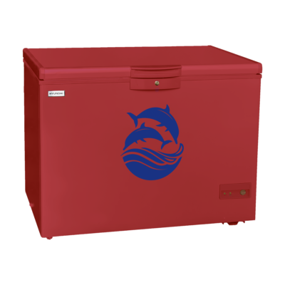Hyundai Freezer 10 FT